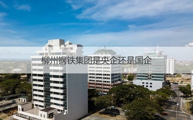 廣西最主要的大型鋼鐵企業(yè) 柳州鋼鐵集團(tuán)是央企還是國(guó)企